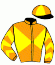 casaque portée par Justum M. jockey du cheval de course SERBER, information pmu ZETURF