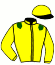 casaque portée par Veron F. jockey du cheval de course MON RICIN, information pmu ZETURF