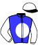 casaque portée par Guyon M. jockey du cheval de course ZELORO, information pmu ZETURF