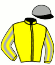 casaque portée par Velon Mlle M. jockey du cheval de course CARNIVAL QUEEN, information pmu ZETURF