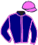 casaque portée par Andrieux T. jockey du cheval de course KAMONDO, information pmu ZETURF