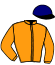 casaque portée par Lestrade B. jockey du cheval de course LILLOU, information pmu ZETURF