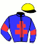 casaque portée par Bonnet E. jockey du cheval de course KISSY, information pmu ZETURF