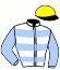 casaque portée par Barzalona M. jockey du cheval de course YOKER, information pmu ZETURF