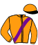 casaque portée par Chartier Fra. jockey du cheval de course IMAVEROC, information pmu ZETURF