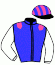 casaque portée par Chevillard T. jockey du cheval de course LADY WISDOM, information pmu ZETURF