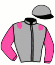 casaque portée par Girard F. jockey du cheval de course PRINCESSE ETOILEE, information pmu ZETURF