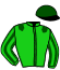 casaque portée par Hardouin E. jockey du cheval de course WEEKEND WARRIOR, information pmu ZETURF