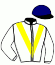casaque portée par Nicoleau J. jockey du cheval de course PRESOMPTION, information pmu ZETURF