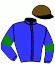 casaque portée par Journiac H. jockey du cheval de course DARK ZEL, information pmu ZETURF