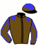 casaque portée par Mayeur R. jockey du cheval de course HAUT LES MASQUES, information pmu ZETURF
