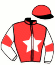 casaque portée par Baudet N. jockey du cheval de course ULTIMATE FIGHT, information pmu ZETURF