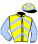 casaque portée par Bachelot T. jockey du cheval de course AMORE MIA, information pmu ZETURF
