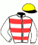 casaque portée par Gavilan Ale. jockey du cheval de course IZANA BERE (FR), information pmu ZETURF