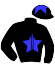 casaque portée par Seguy V. jockey du cheval de course SERAPHIM (GB), information pmu ZETURF