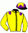 casaque portée par Foulon M. jockey du cheval de course ZEBEDY, information pmu ZETURF