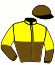 casaque portée par Cadel C. jockey du cheval de course LIZONNE, information pmu ZETURF
