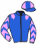 casaque portée par Merou Mlle A. jockey du cheval de course LEMINGTON, information pmu ZETURF