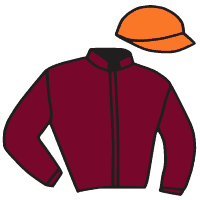 casaque portée par Richard G. jockey du cheval de course SIERRO DINO, information pmu ZETURF