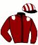 casaque portée par Berto M. jockey du cheval de course SUR MA VIE (FR), information pmu ZETURF
