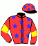 casaque portée par Barzalona M. jockey du cheval de course QUESSIGNY (FR), information pmu ZETURF