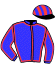 casaque portée par Pouchin A. jockey du cheval de course BEAUTIFUL ASPEN (FR), information pmu ZETURF
