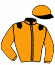 casaque portée par Demuro C. jockey du cheval de course TWILIGHT (FR), information pmu ZETURF