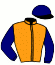 casaque portée par Soumillon C. jockey du cheval de course SNORKELING (FR), information pmu ZETURF