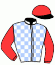 casaque portée par Boisseau L. jockey du cheval de course DREAM IN NORMANDY (IE), information pmu ZETURF