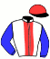 casaque portée par Barzalona M. jockey du cheval de course DOWNEVA (FR), information pmu ZETURF