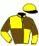 casaque portée par Blondel F. jockey du cheval de course BURNING VICTORY (FR), information pmu ZETURF