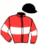 casaque portée par Guyon M. jockey du cheval de course MANG'SEKO (FR), information pmu ZETURF