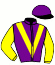 casaque portée par Michel Mlle Mic. jockey du cheval de course HENRY BRULARD (FR), information pmu ZETURF