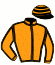 casaque portée par Jouin O. jockey du cheval de course VALCAUX, information pmu ZETURF