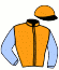 casaque portée par Dubourg K. jockey du cheval de course FORNELLI (FR), information pmu ZETURF