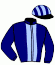 casaque portée par Mayeur R. jockey du cheval de course PEPITA STREET, information pmu ZETURF