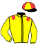 casaque portée par Prichard Mlle C. jockey du cheval de course DE VIVE VOIX, information pmu ZETURF