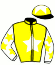 casaque portée par Poincot Chr. jockey du cheval de course MINOTOR DES MOTTES, information pmu ZETURF