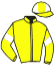 casaque portée par Mayeur R. jockey du cheval de course KADENCE DE MEE, information pmu ZETURF