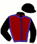 casaque portée par Reveley J. jockey du cheval de course KARNAVAL POINT, information pmu ZETURF