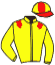 casaque portée par Mayeur R. jockey du cheval de course SOIE DE COEUR, information pmu ZETURF