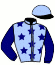 casaque portée par Thonnerieux R. jockey du cheval de course HARLAN (FR), information pmu ZETURF