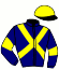 casaque portée par Verriere L. jockey du cheval de course IKARUS FLIGNY (FR), information pmu ZETURF