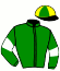 casaque portée par Callier Mlle M. jockey du cheval de course DARWIN BEGONIA (FR), information pmu ZETURF