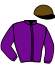 casaque portée par Foucault V. jockey du cheval de course GENERAL INSPECTOR (FR), information pmu ZETURF
