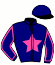 casaque portée par Abrivard A. jockey du cheval de course HARRY DE SASSY (FR), information pmu ZETURF