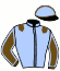 casaque portée par Comte F. jockey du cheval de course ECLAT D'ORVAL (FR), information pmu ZETURF