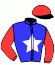 casaque portée par Chenu C. jockey du cheval de course COOL DES PLAINES (FR), information pmu ZETURF