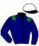 casaque portée par Bodin Ale. jockey du cheval de course DIVIN DU RENOUARD, information pmu ZETURF