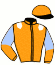 casaque portée par Marin G. jockey du cheval de course IRONIE DU GUELIER, information pmu ZETURF